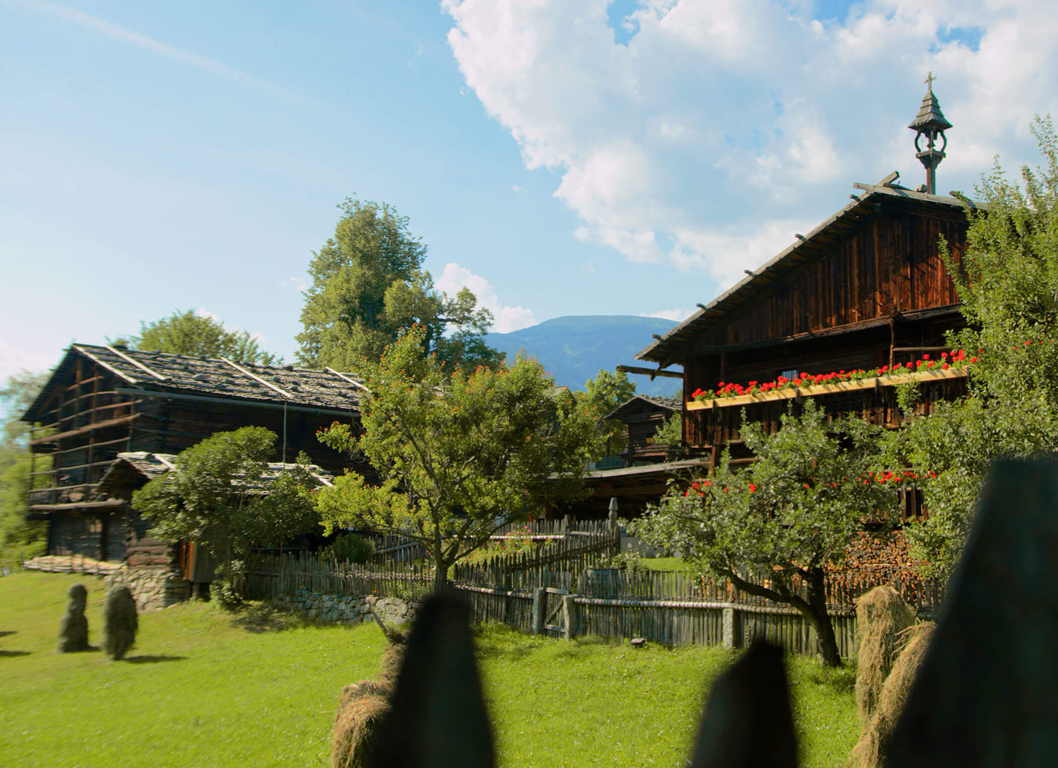 Museo del folclore di Teodone