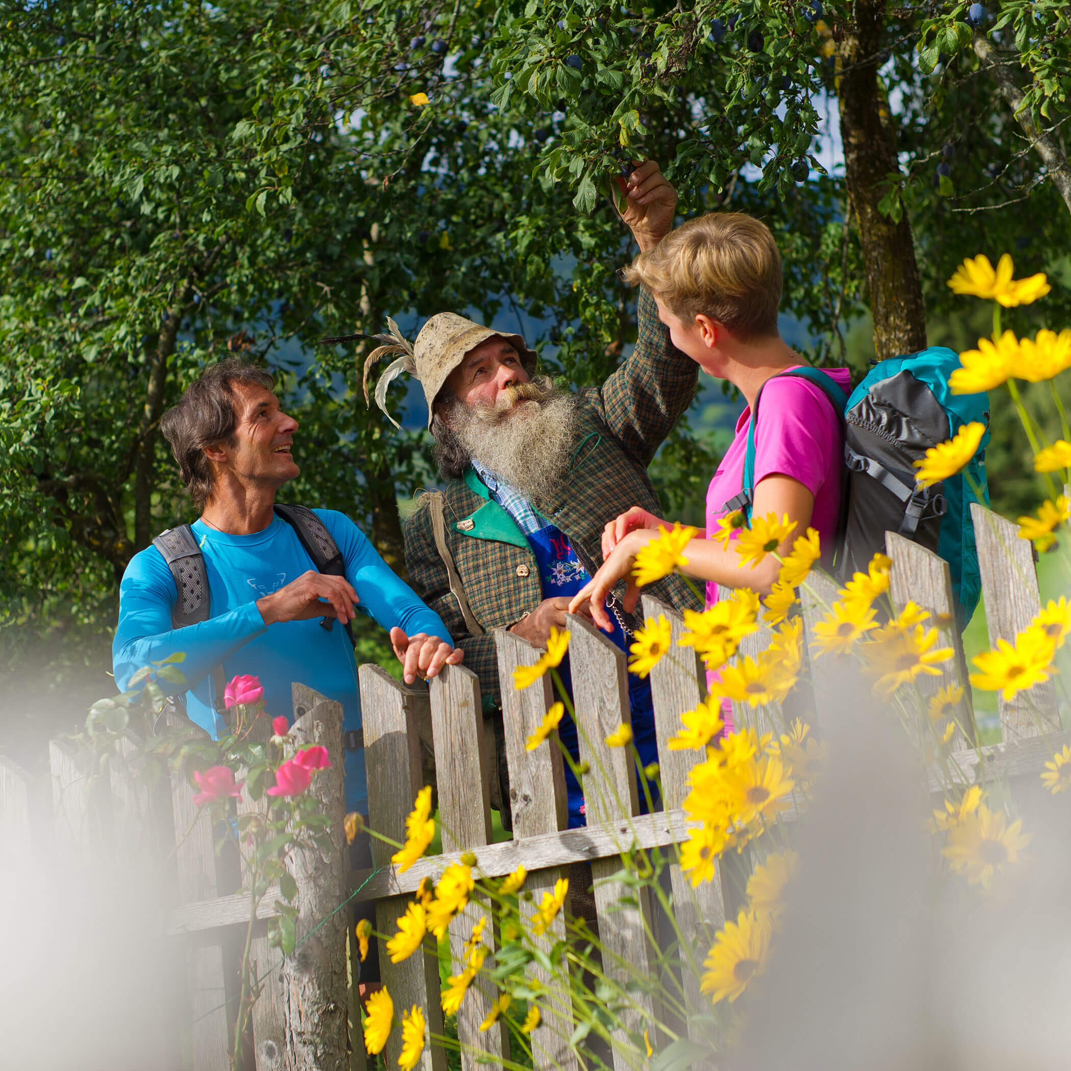 Bee trail