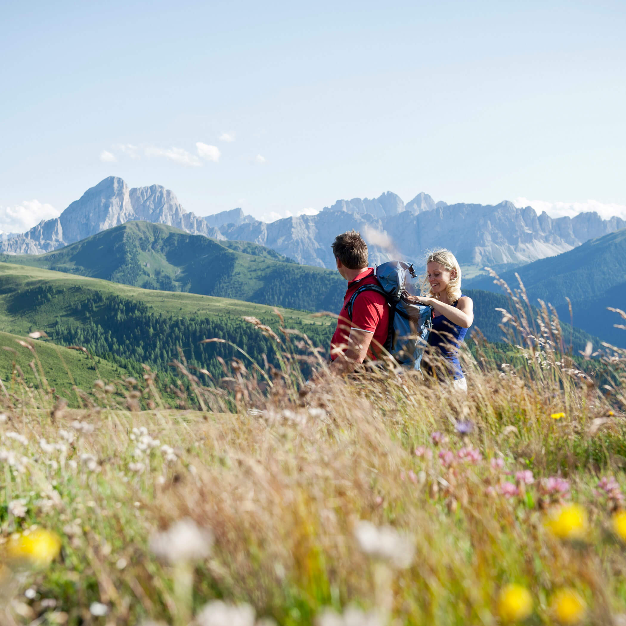 Rodenecker Alm - alpine pasture