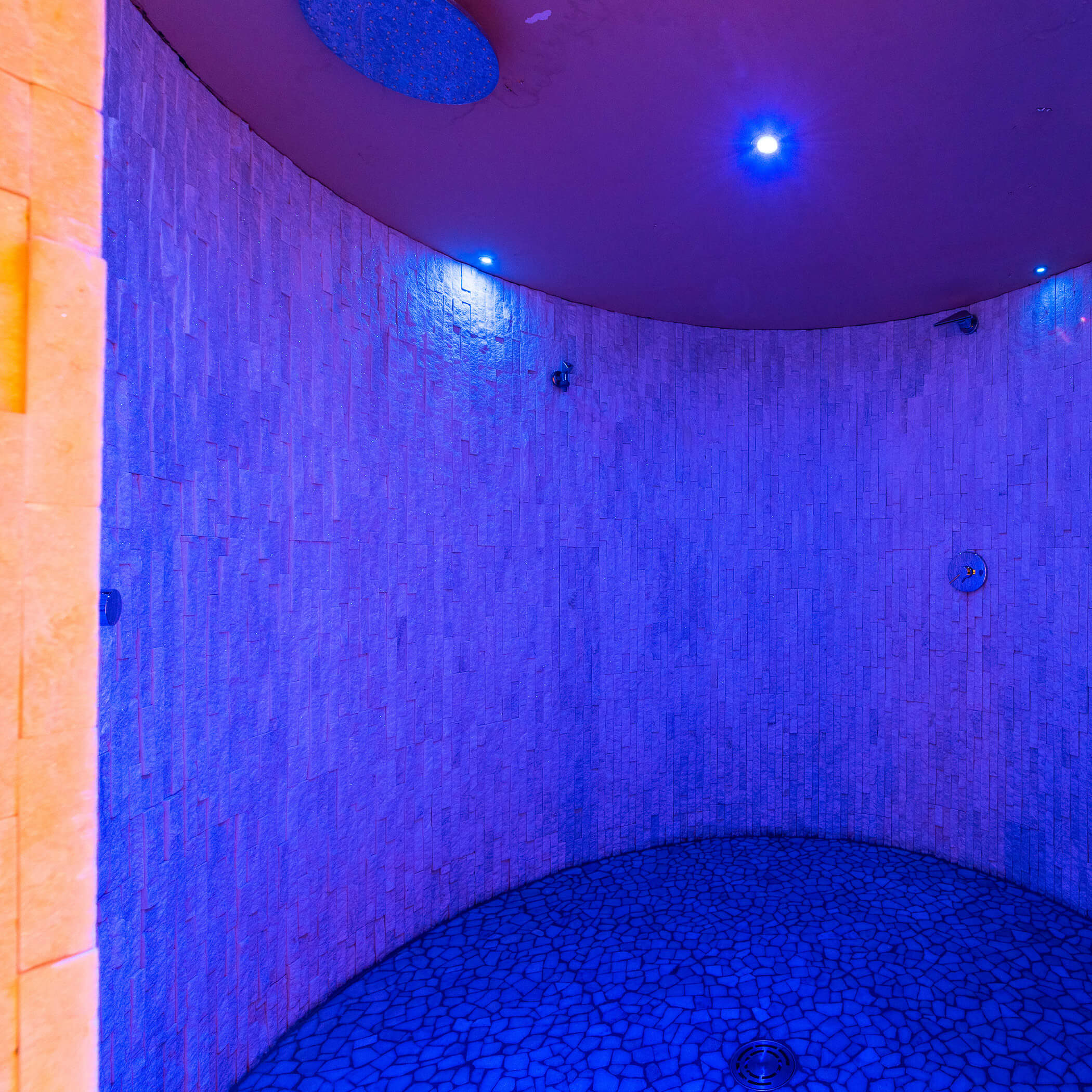 Experience shower